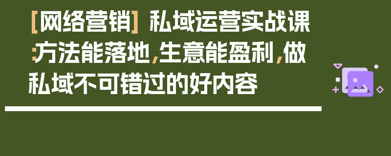 [网络营销] 私域运营实战课：方法能落地，生意能盈利，做私域不可错过的好内容