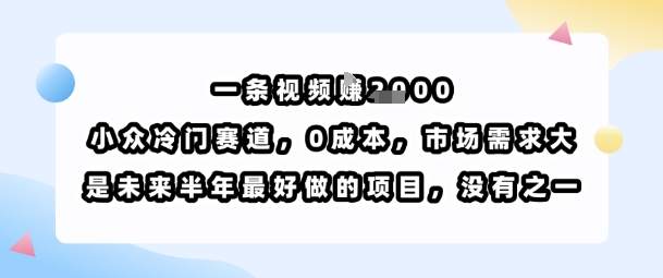 一条视频挣1k,小众冷门赛道,0成本,市场需求大,是未来半年最好做的项目,没有之一-幽忧帮