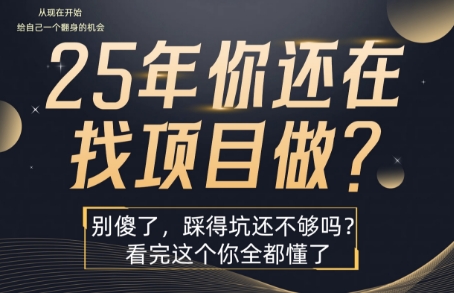 25年,你还在疯狂的找项目吗?别傻了,看完这个你都懂了【揭秘】-幽忧帮