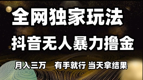 全网独家玩法抖音无人暴力撸金,月入3W,有手就行,当天拿结果【揭秘】-幽忧帮