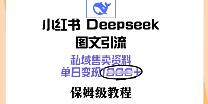 小红书Deepseek图文引流，私域售卖资料，单日变现多张，保姆级教程-忧忧资源网