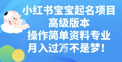 小红书宝宝起名项目高级版本,操作简单,资料专业,月入过W-幽忧帮