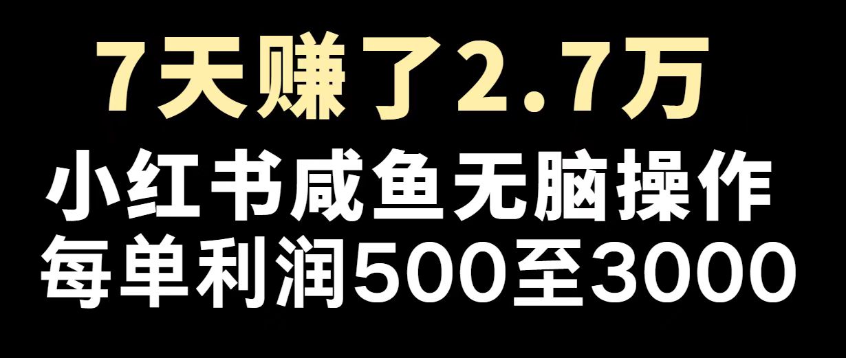 （14183期）最赚钱项目之一，2025爆火，逆风翻盘！-忧忧资源网