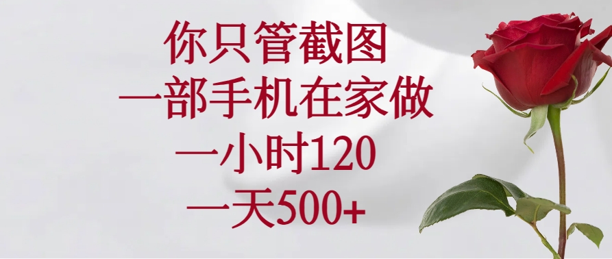 （14248期）你只管截图，一部手机在家做，一小时120，一天500+-忧忧资源网