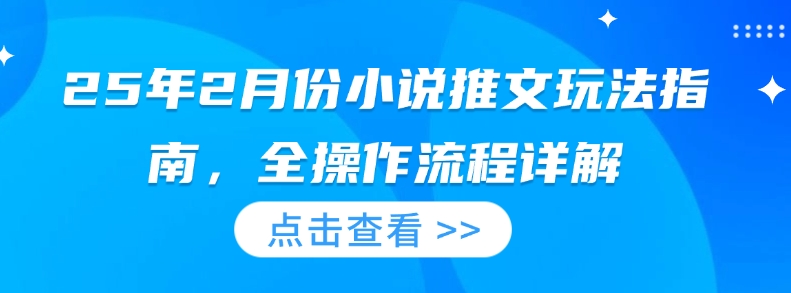 25年2月份小说推文玩法指南，全操作流程详解-忧忧资源网