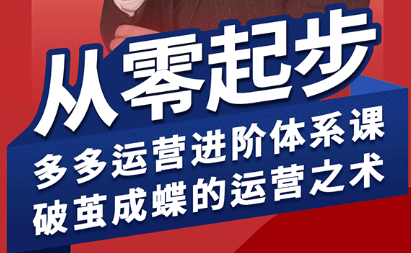 海神·拼多多运营进阶系统课(更新8月)-幽忧帮