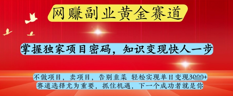 网创副业黄全赛道,掌握独家项目密码,知识变现快人一步,告别韭菜轻松实现单日变现1k+【揭秘】-幽忧帮
