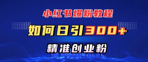 小红书爆粉教程，如何日引300+创业粉，快速实现精准变现-忧忧资源网