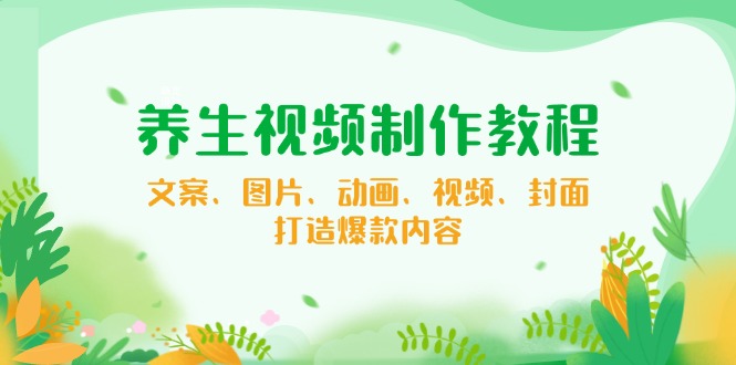 （14163期）养生视频制作教程，文案、图片、动画、视频、封面，打造爆款内容-忧忧资源网