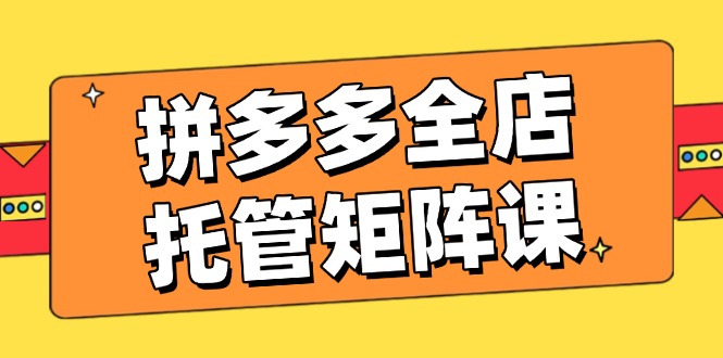 （14328期）拼多多全店托管矩阵课，盈利动销玩法，高效计划设置，提升店铺效益-忧忧资源网