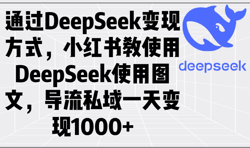 （14179期）通过DeepSeek变现方式，小红书教使用DeepSeek图文，导流私域一天变现1000+-忧忧资源网