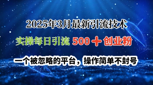 2025年3月最新引流技术,实操每日引流500+创业粉,一个被忽略的平台,操作简单不封号-幽忧帮
