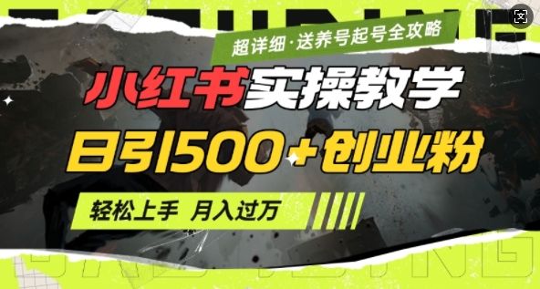 2月小红书最新日引500+创业粉实操教学【超详细】小白轻松上手，月入1W+，附小红书养号起号SOP-忧忧资源网