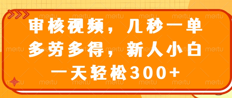 （14294期）审核视频，几秒一单，多劳多得，新人小白一天轻松300+-忧忧资源网