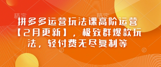 拼多多运营玩法课高阶运营【2月更新】，极致群爆款玩法，轻付费无尽复制等-忧忧资源网