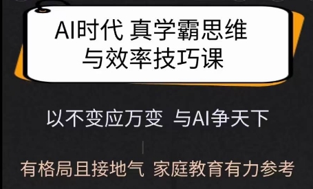 Ai时代真学霸思维与学习方法课，有格局且接地气，家庭教育有力参考-忧忧资源网