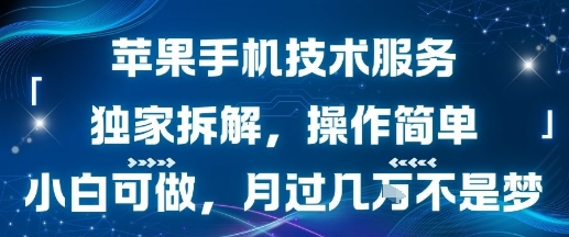 苹果手机技术服务,独家拆解,操作简单,小白可做,月过1W不是梦-幽忧帮