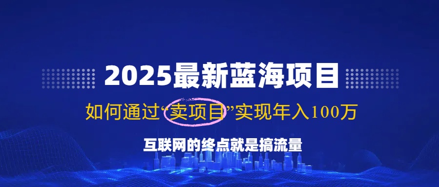 （14305期）2025最新蓝海项目，零门槛轻松复制，月入10万+，新手也能操作！-忧忧资源网