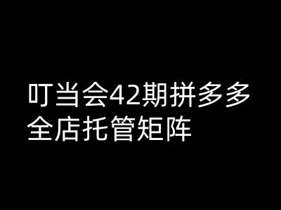 叮当会拼多多打爆班原创高阶技术第42期，拼多多全店托管矩阵-忧忧资源网