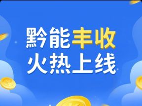 黔能无限首码（从黔来 ）0撸神级项目，对接团队！