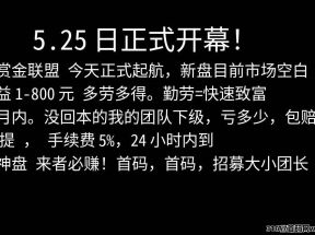 成为赏金达人，**收益3%，静 态收益高达9%，2024神盘过肥年