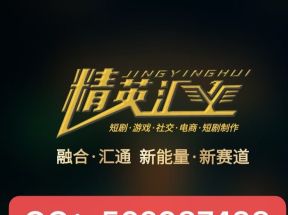 精英汇搬砖+卷轴全新模式（跨年大黑）一手对接团长（政策拉满）