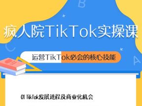 疯人院TikTok安装注册保姆级实操课，带你掌握TikTok必会的核心技能