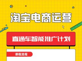 齐论电商运营的七天爆破班，淘宝运营直通车智能推广计划