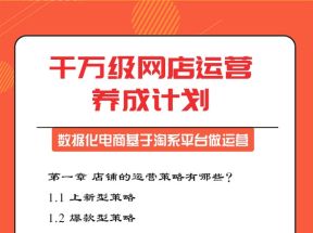 千万级网店运营操盘手养成计划，基于淘系平台做运营