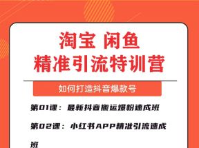 淘宝闲鱼精准引流特训营，教你打造抖音爆款号