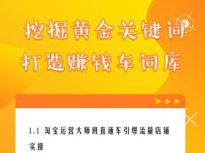 淘宝直通车新版淘宝直通车打爆款零基础教程 299元