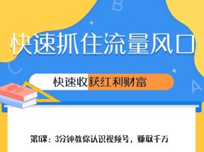 玩转微信视频号爆款涨粉赚钱全攻略，让你快速抓住流量风口，收获红利财富