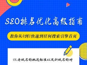 樊天华·SEO排名优化高级指南，教你从0到1快速带任何搜索引擎首页