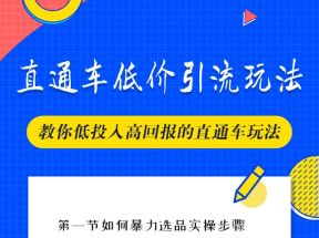 茂隆2022直通车低价引流玩法，教大家如何低投入高回报的直通车玩法