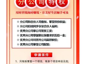 新掌盟首码，可零撸可付费推广管道收益，同时享受城市区域收益