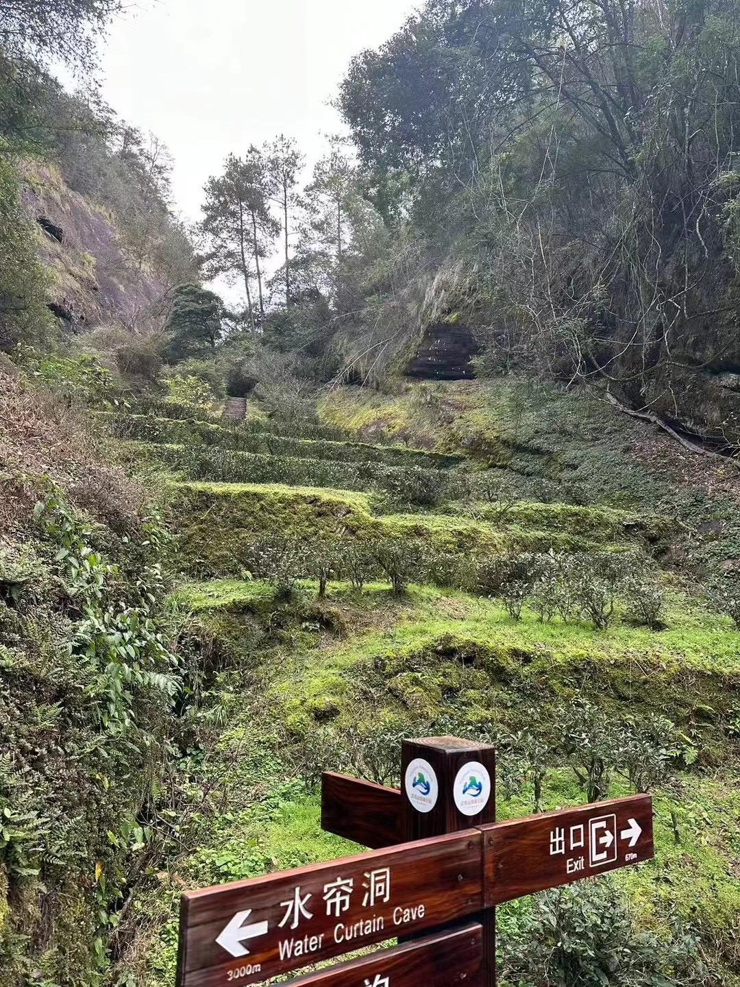 开心茶庄首码上线，已实地考察