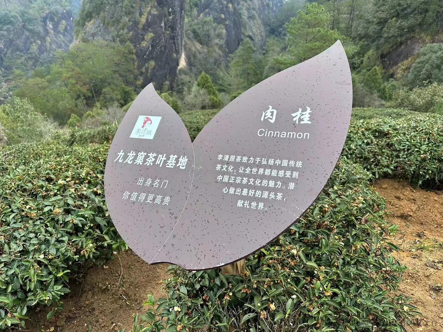 开心茶庄首码上线，已实地考察