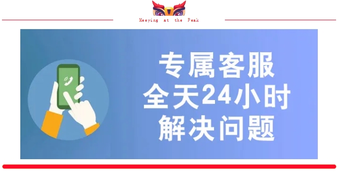 新掌盟是什么平台？居然吸引众多优秀团队长纷纷加入！