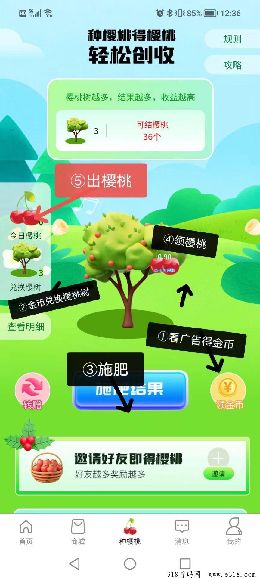 樱淘生活首码，不可多得的项目，算他一个